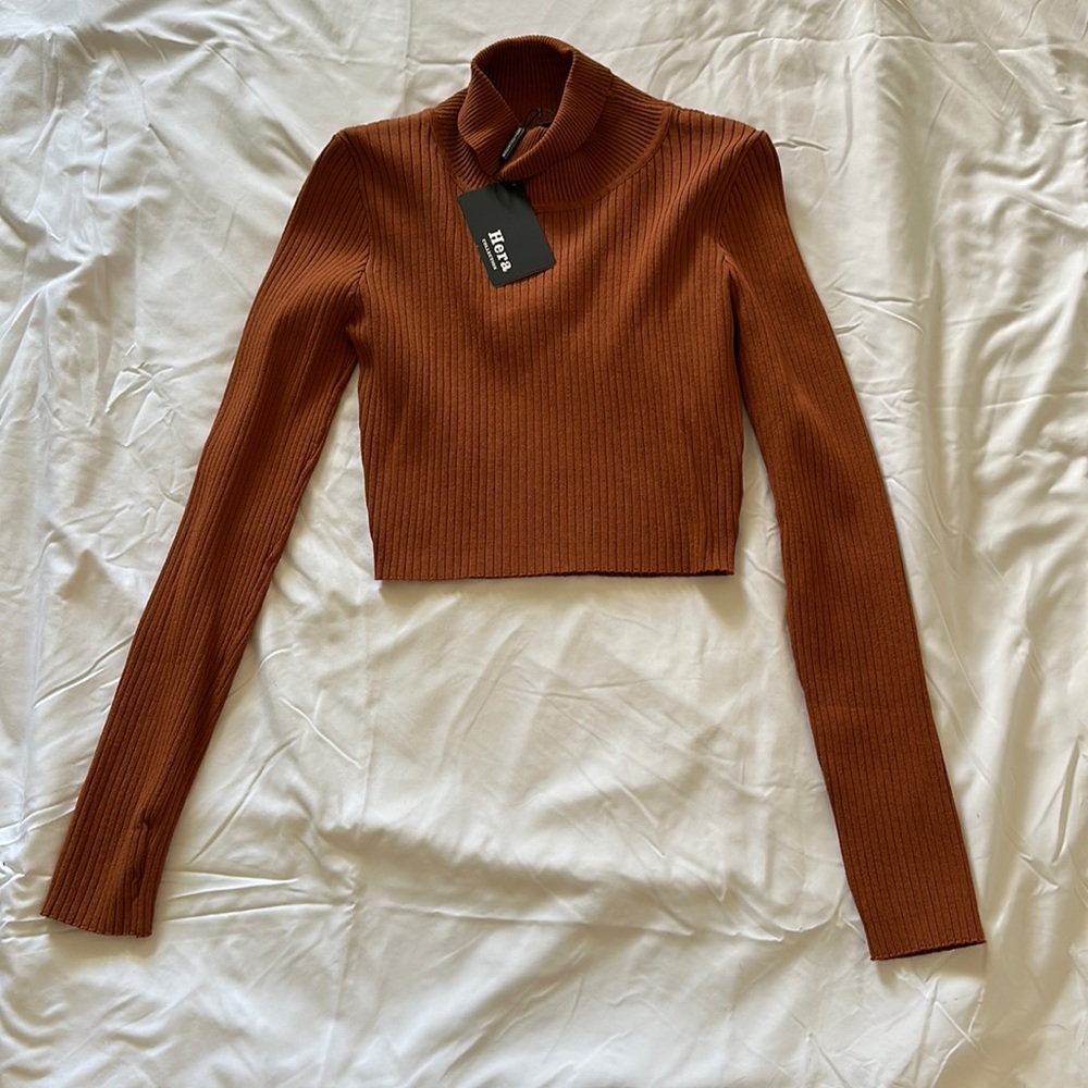 Burnt Orange Cropped Turtleneck Sweater